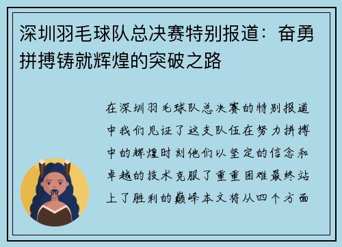 深圳羽毛球队总决赛特别报道：奋勇拼搏铸就辉煌的突破之路